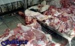 ابتلای ۴ نفر در کشور به بیماری تب کریمه کنگو